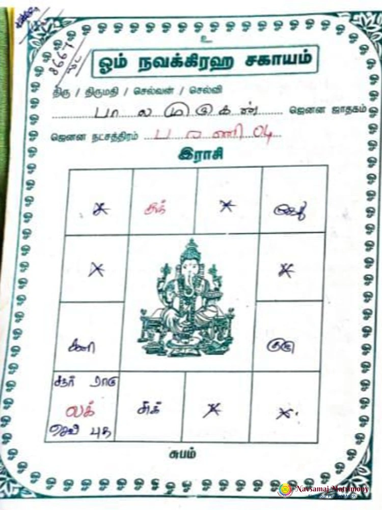 Balamurugan Sivan Gothram View 4 Profile Image - Navsamaj Matrimony