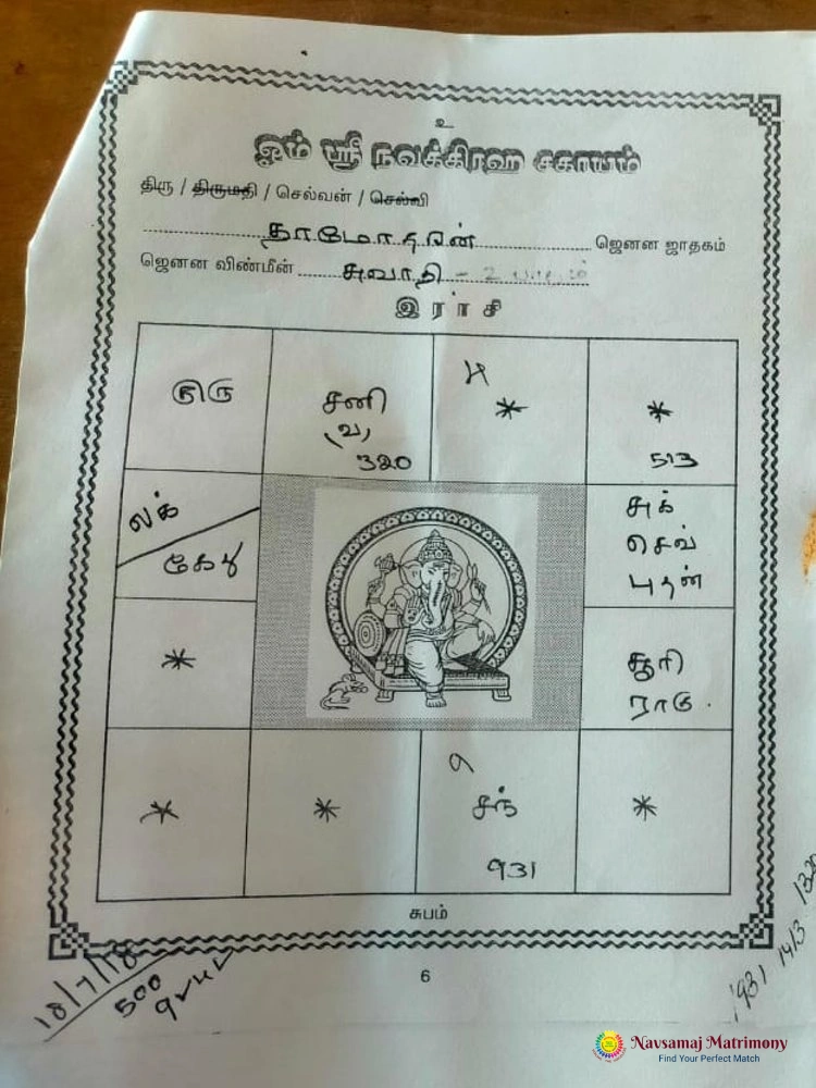 Dhamodharan Vairamani View 5 Profile Image - Navsamaj Matrimony