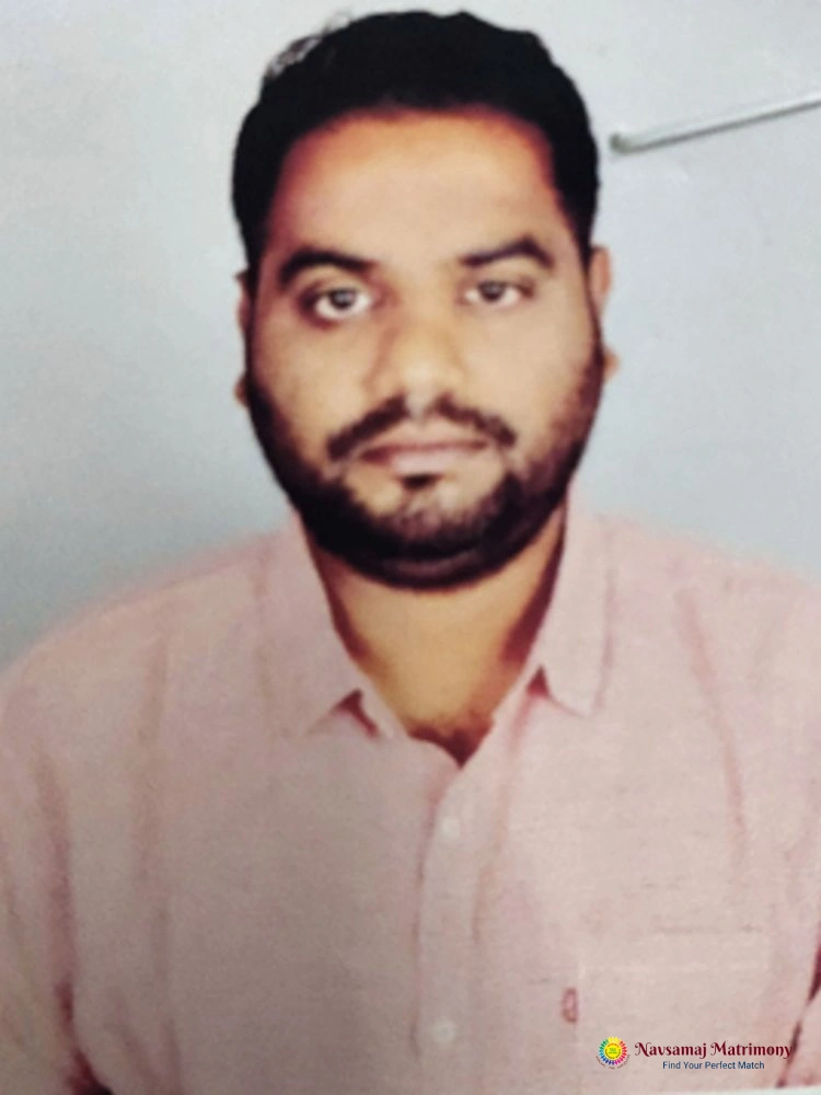 Janarthanan Thamodharan Profile Image - Navsamaj Matrimony